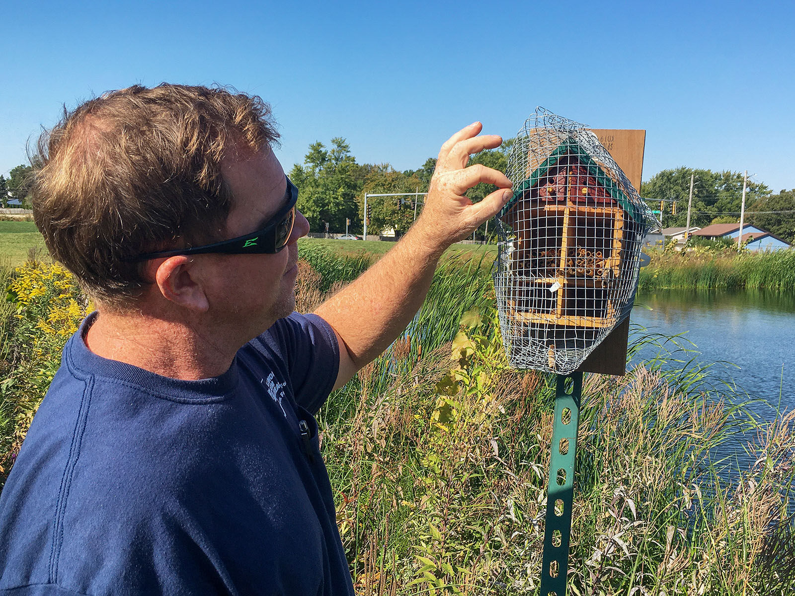Bees keep IFB’s prairie plants buzzing